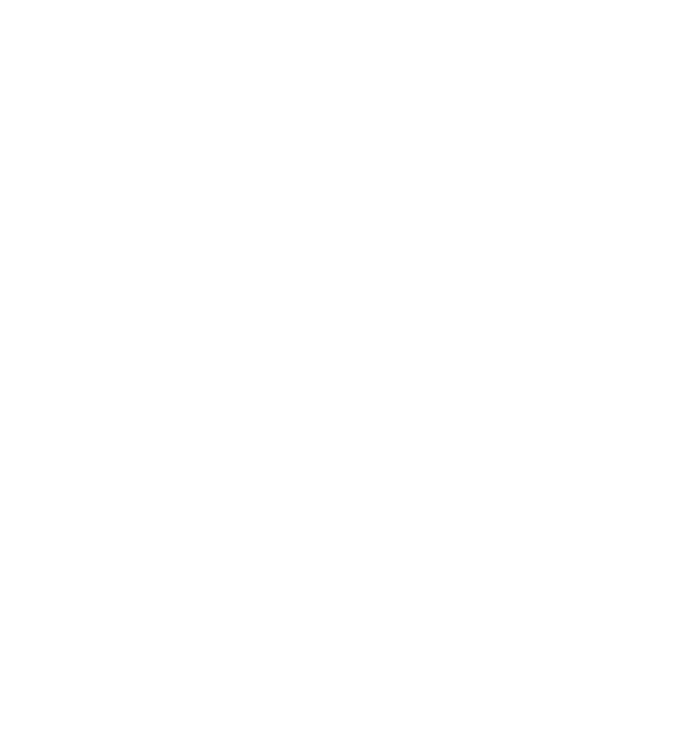 The Taj Car Rental